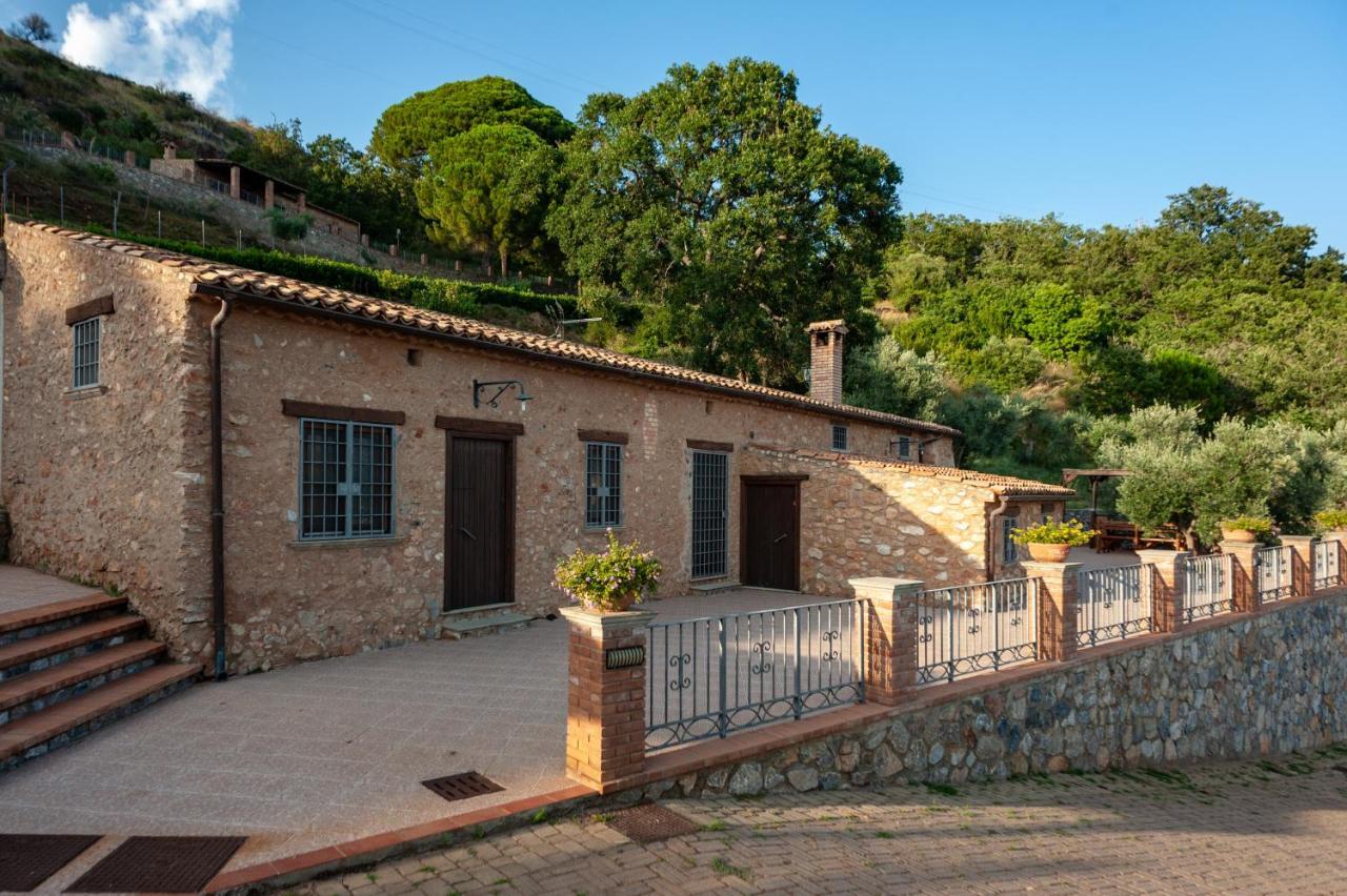 Azienda Agrituristica Le Terre Di San Leonardo 체트라로 외부 사진